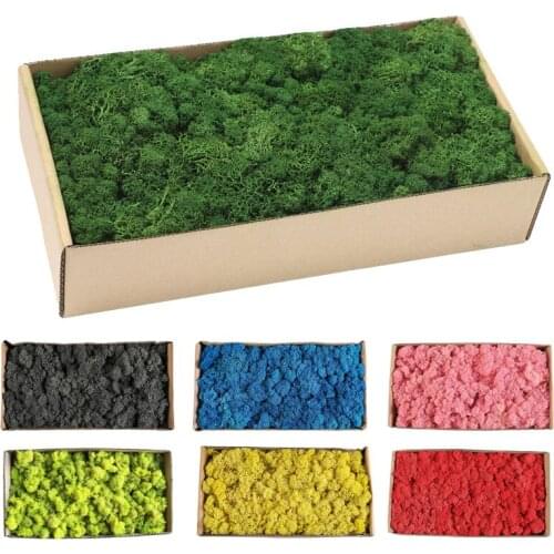 500g Artificial Plants Green Eternal Life Moss Fake Flower Moss Grass Home Living Room Decoration Wall DIY Garden Decoration