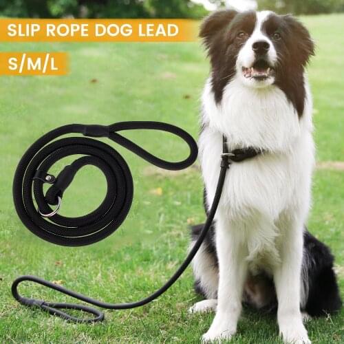 Dog Slip Rope Leash Dog Training Leashes Adjustable Pet Leash Climbing Nylon Rope Dog Leash 140cm Long for M/Large Dog Walking