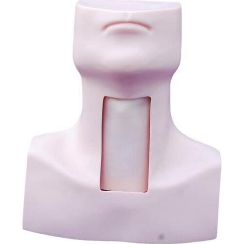 Medical Training Tracheostomy Simulator Model