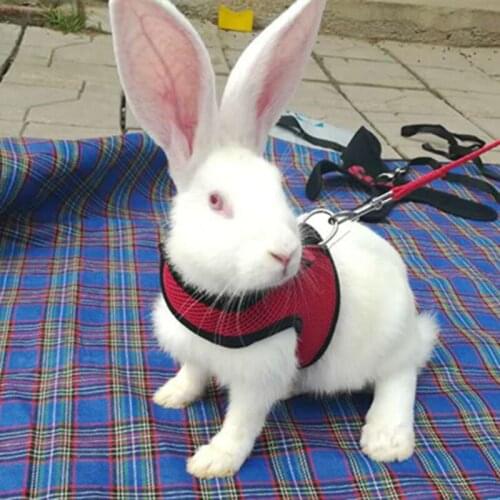 Mesh Dog Harness With Leash For Hamster Rabbits Bunny Ferret Guinea Small Animal Pets Vest Lead Pet Supplies Puppy Chest Strap19