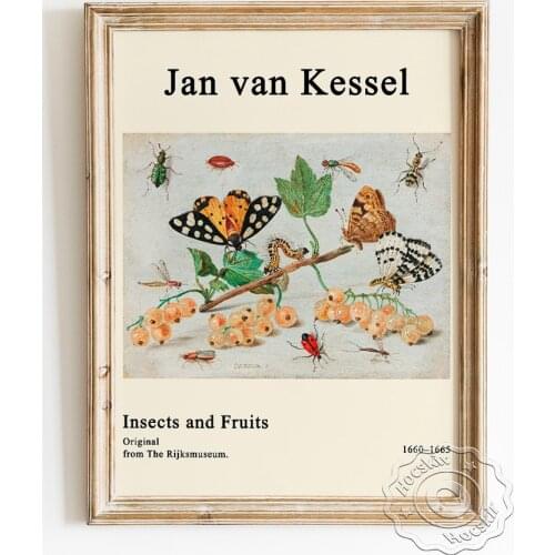 Jan Van Kessel Exhibition Museum Poster, Insects And Fruits Canvas Painting, Phytology Entomology Classroom Wall Art Home Decor
