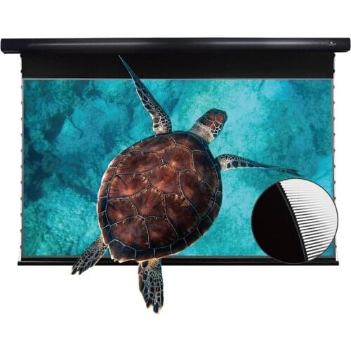 84 ~ 120 Inch PRO Slimline Motorized Ceiling Projection Screen CLR Ambient Light Rejecting 4K Ceiling Projector Screen