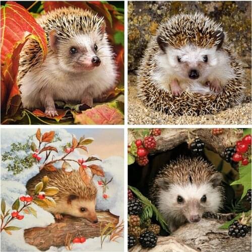 5d DIY Cute Animal Hedgehog Diamond Painting Full Drill Embroidery Cross Stitch Needlework Mosaic Home Decor Kid Christmas Gift