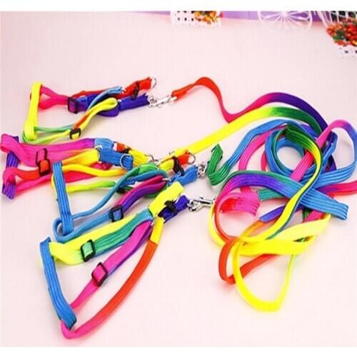 Pet dogs chest straps traction rope traction with colorful rope thoracic dorsal type