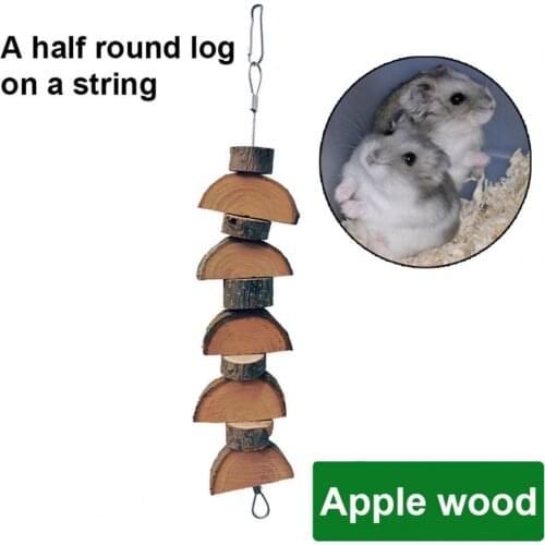 Healthy Simple Pet Hanging Molar Toy Natural Pet Stick Toy Practical for Small Animal