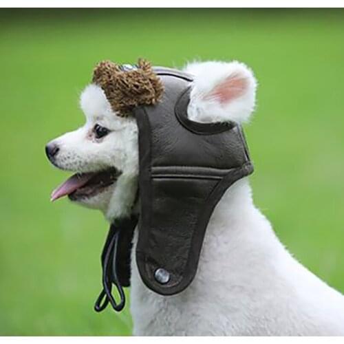 Pesitntrkseep Hats For Dogs