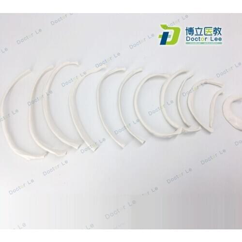 Classic Human Rib Skeleton Models with Numbers for Easy to Use and Learning