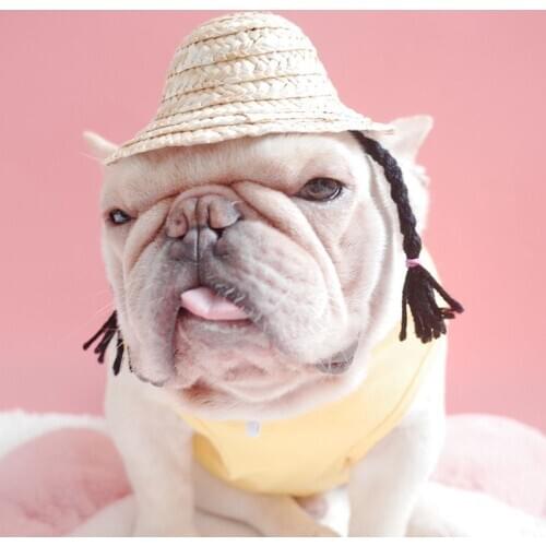 New Fashion Pet Dogs Cats Cute Woven Sun Hat Decorative Sombrero Hat Necklace Holiday Summer With Double Hair Plait Neckware New