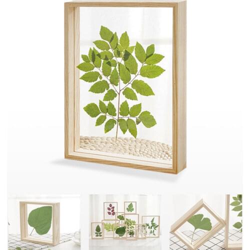 Wooden Creative Double-sided Glass Plant Specimen Photo Frame Log Color Photo Frame Transparent Wooden Photo Frame