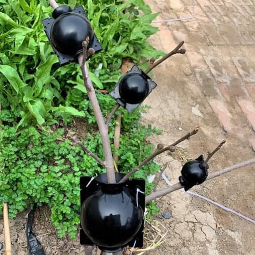 1pcs Plant Rooting Ball Grafting Rooting Growing Box Breeding Case Plant Root Growing Box For Garden 5/8/12cm In Diameter