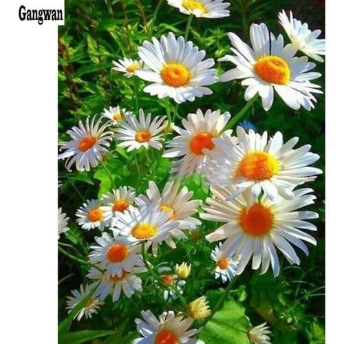 Diamond Painting,daisy,Flower Cross Stitch,mosaic Rhinestone picture Diamond Embroidery Sale Diamond Painting Crystal Arts hobby