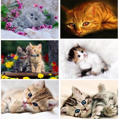 5D Diamond Painting animals icon diamond embroidery Diamonds cat Picture Full Square Drill Diamond embroidery by photo Decor