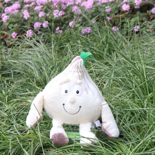 New Fruits Vegetables cauliflower Mushroom blueberry Starwberry 9" Soft Plush Doll Toy