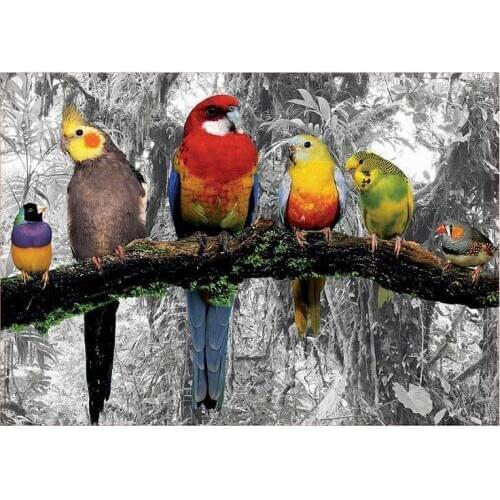 Full embroidery parrot animals 5d diy diamond painting birds rhinestone embroidery square/round drill wall decor