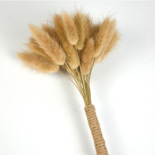 30pcs Lagurus Ovatus Natural Dried Flowers Rabbit Tail Grass Real Flowers Wedding Home Decoration Real Natural Plants Bouquets