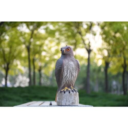 Free shipping Hawk FALCON BIRD DETERRENT SCARER DECOY 7 x 16 x 7 inches lifesize and vivid