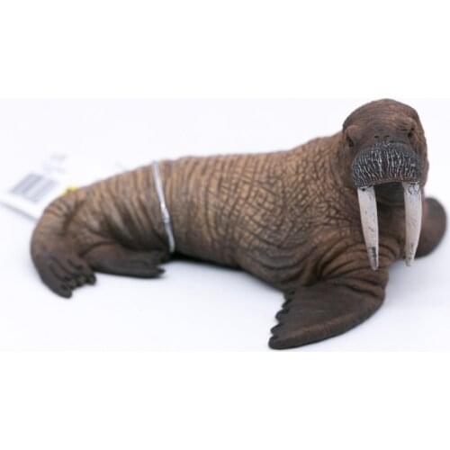 CollectA Wild Life Animals Polar Regions Ocean Walrus PVC Plastic Model Toy Children #88569