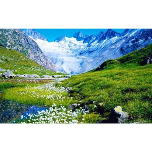 5D DIY Diamond Painting Empty Snow Mountain Flower Embroidery Sale Nature Diamond Mosaic Picture Of Rhinestone bedroom decor