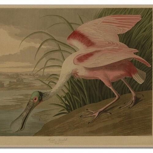 Diy 5d Diamond Painting Vintage Bird Cross Stitch Kits Full Square Round Diamond Embroidery Mosaic Home Decor Wall Art