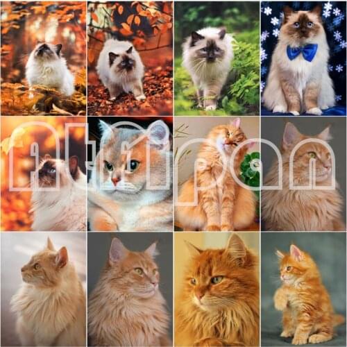 5D DIY Diamond Painting Full Square Cat Rhinestones Pictures Diamond Embroidery Animals Mosaic Sale Home Decoration