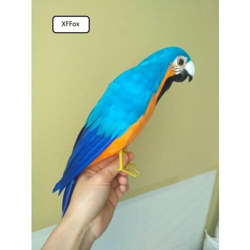 New real life blue&orange parrot model foam&feather simulation parrot bird gift about 40cm xf0208