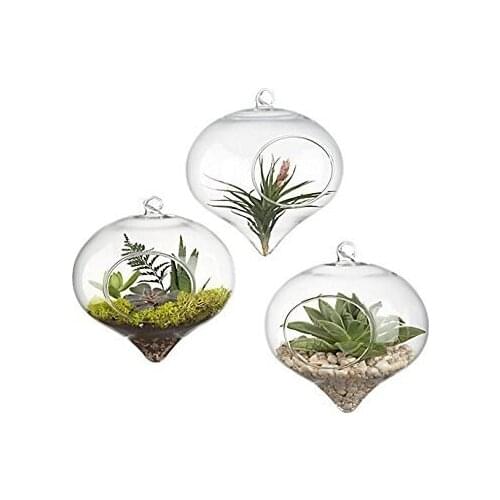 Pack of 3 Glass Hanging Planter Hanging Air Plant Terrarium Hanging Plant Pots Flower Pots Plant Containers Air Plant Pots