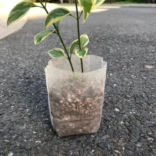 Pocketgarden 100pcs Nursery Pots Seedling-Raising Bags fabrics Garden Nursery bags Supplies 16x18cm