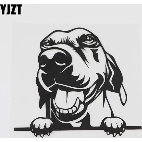 YJZT 15.2CMX13.3CM Peeking Dog Beagle pup Hound Decal Vinyl Car Sticker Black/Silver 8A-0525