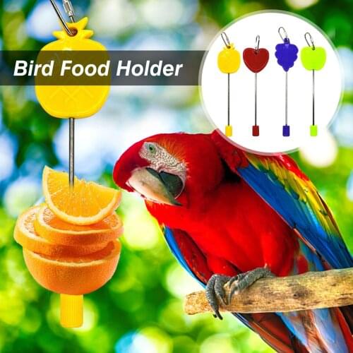 New Bird Food Fork Holder Stainless Steel Vegetable Fruit Feeder Bird Cage Parrot Fruit Fork Accessories Bird Supplies 4 Styles