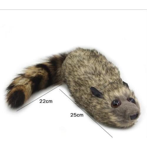 Robbie Raccoon - Close Up Magic Tricks,Easy Magic ,Apprentice Illusion Magician,Magic Accessories Magie Professionnelle