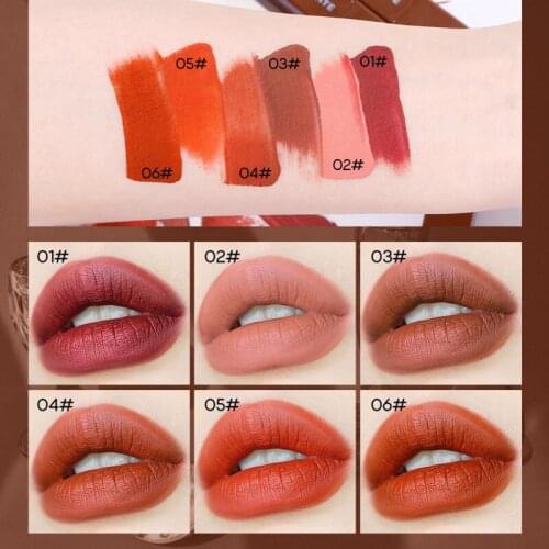 Hot Chocolate Matte Velvet Lip Glaze Beauty Cosmetics Waterproof Lasting Durable Lip Gloss Vivid Liquid Lipstick Makeup TSLM1