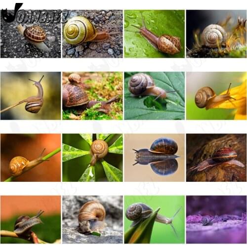 Mollusk Snail Diamond Painting 5D Diy Wall Art Climbing Snail Group Square Diamond Inlaid Home Room Decoration Accessories