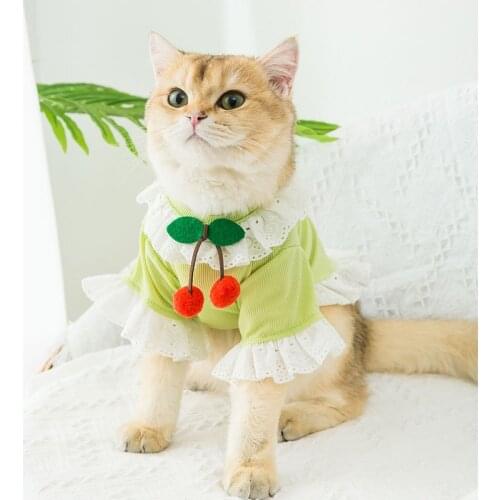 Spring Summer Cat Cherry Lace Ice Silk Cool Thin Section Dress Matcha Green Lovely Princess Dress Doll Cat British Shorthair Cat