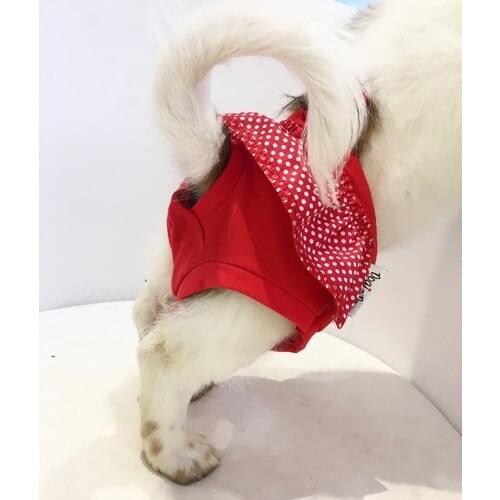 Одежда и обувь для собак YOK China At AliExpress