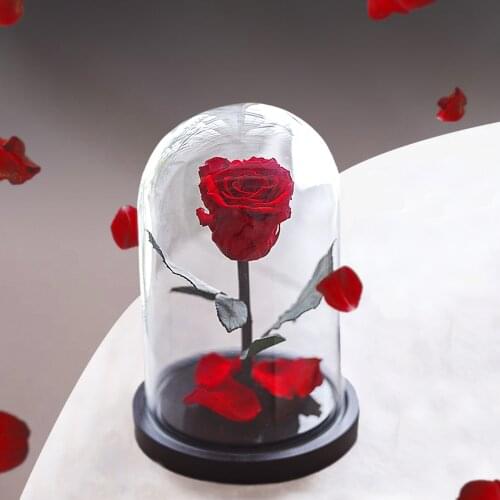 Искусственные растения Notta&Belle China At AliExpress