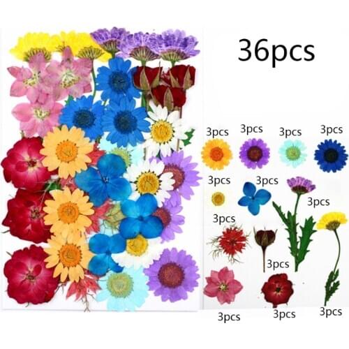 Dried Flowers UV Resin Decorative Natural Flower Stickers 3D Dry Beauty Decal
