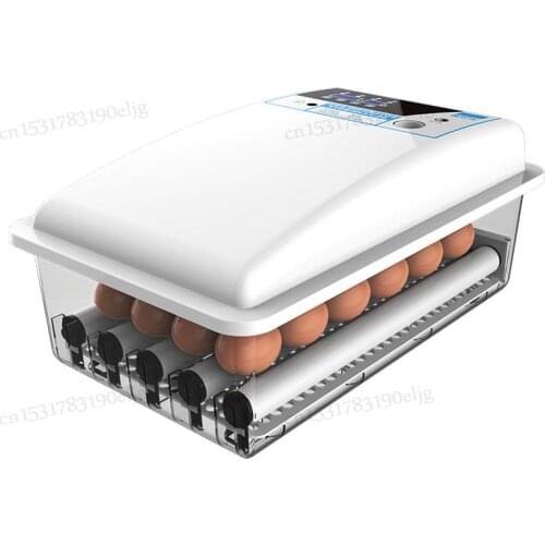 Chicken Incubator Fully Automatic Intelligent Small Incubator Incubator Egg Incubator Box Chicken Duck Goose Household Type