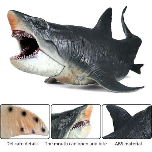 FoPcc Biology Textbooks