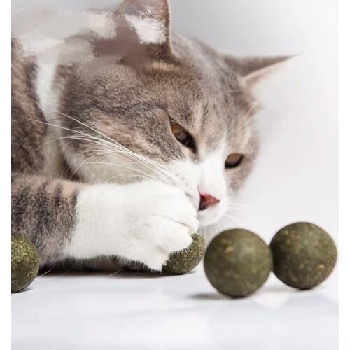 5PCS Pet Cat Natural Catnip Treat Ball Cat chasing activity ball Pet food cat snacks Cat grass ball Cat refreshing excitement