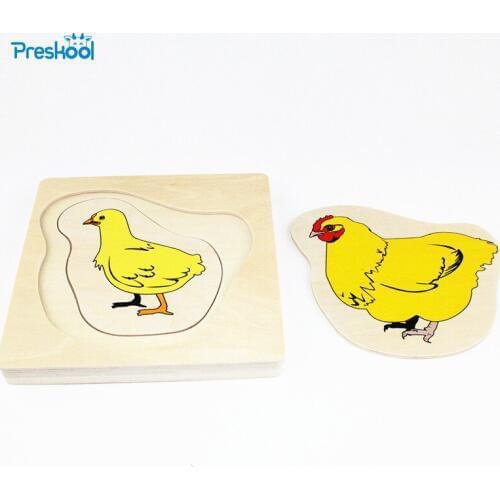 Montessori Kids Baby Toy Infant Toddler Life Cycle of Chock Puzzles Jingsaw Preschool Brinquedos Juguets