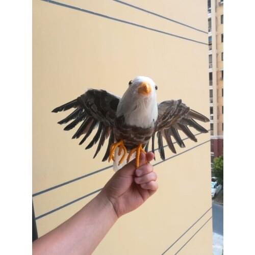 Large 35x60cm simulation bird eagle ,foam & feathers spreading wings eagle model ,prop,Decoration gift w0242