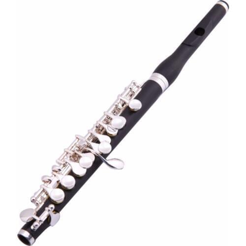 Composite Wood C Tune Silver Plating Professional Piccolo Musical Instrument with Box