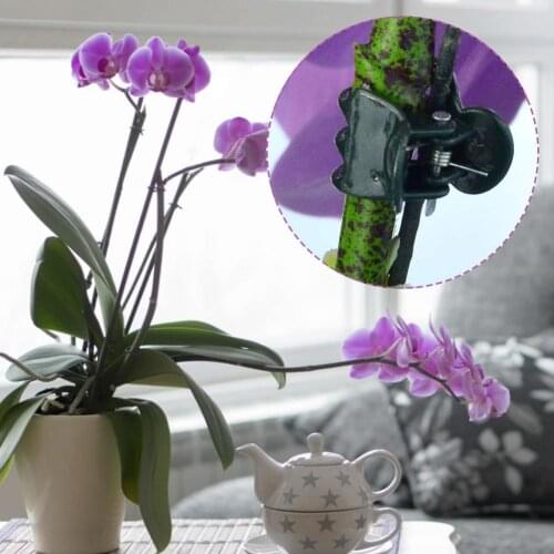 50pcs/set Plastic Garden Clip Special Clip For Phalaenopsis Graft Plant Vine Clip Orchid Stem Vine Support Bundle Garden Tool