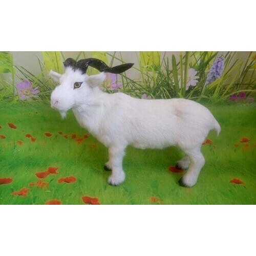 Simulation sheep large 36x30cm white goat model toy,polyethylene&furs toy,home decoration,Xmas gift 0637