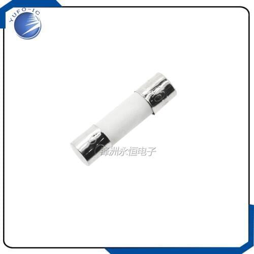 100PCS/Lot 250V20A 5*20 Ceramic fuse 100 per box 250V 20A 5X20MM quick fast blow F20A