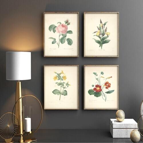 Classic Retro Botanical Painting Vintage Ancient Botany Flower Fruits Posters Prints Wall Art Picture Room Decor Kraft paper