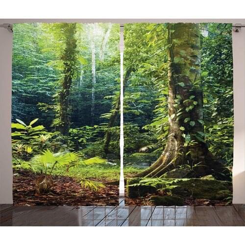Classroom Decorations Rain Forest Curtains Morning Sunbeams Through Wild Ivy on Trees Tranquility in Nature Living Room Bedroom