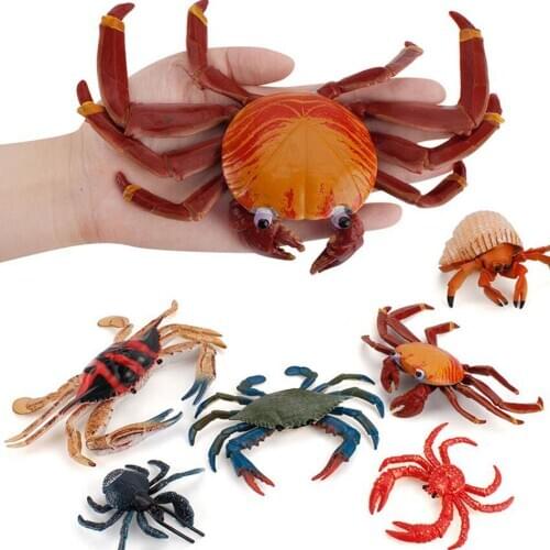 HOT Simulation Marine Animals Model Girl Boy Toys King Hermit Coconut Crab Car Ornaments Kids Toy Learning Cognitive Education