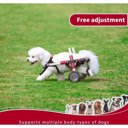 Upgrade L Stainless Steel Dog Wheelchair Pet Scooter Pet Rehabilitation Adjustable Training Wheelchair For Disabled Dog Cat Pet
