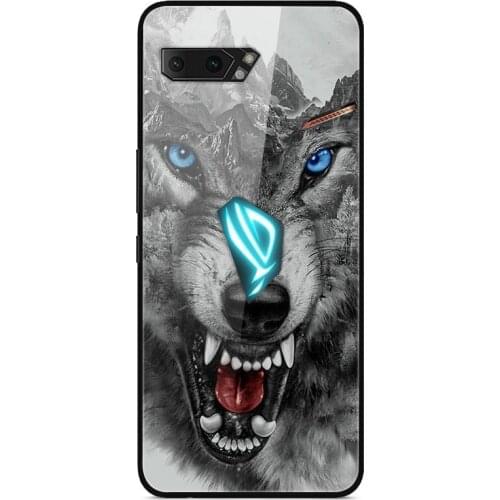 For ASUS ROG Phone 2 ZS660KL Phone Case Tempered Glass Case Phone Cover Fitness Back Bumper Series 3